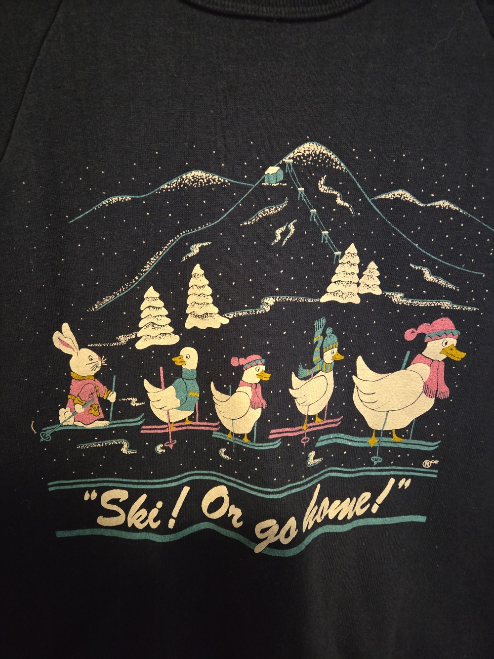 Vintage Navy 'Ski! Or go home!' Graphic Sweatshirt - Picture 2 of 5